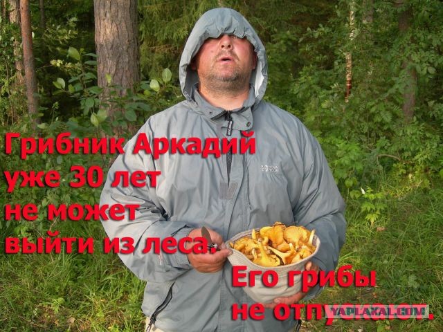 Веселые картинки на пятницу