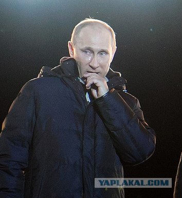 У него были такие большие, грустные глаза!