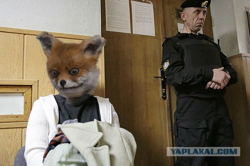 Суровое лицо закона