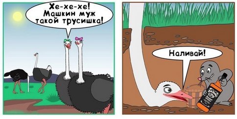 Ужасы и приколы из соцсетей 18+