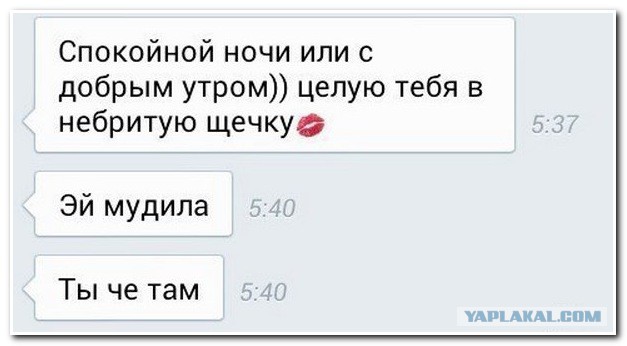 Прикольные картинки