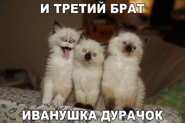 Подборочка картинок из сети