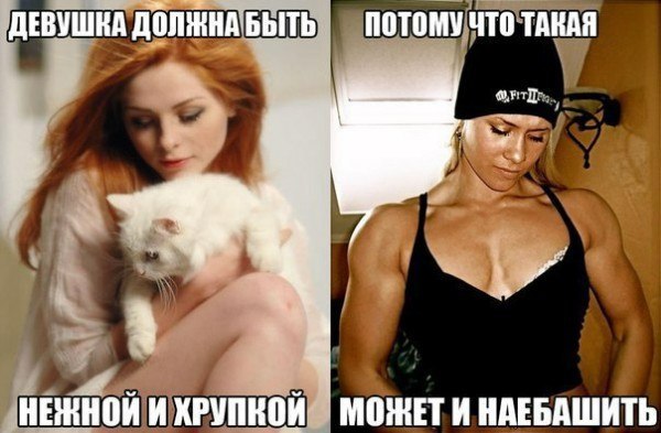 Свежая подборка прикольных картинок