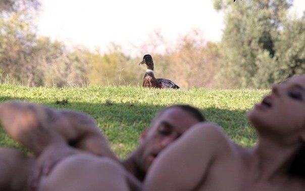 Подборка картинок 01.03.16