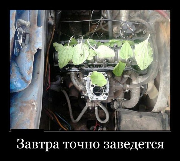 Фотоподборка на пятницу.