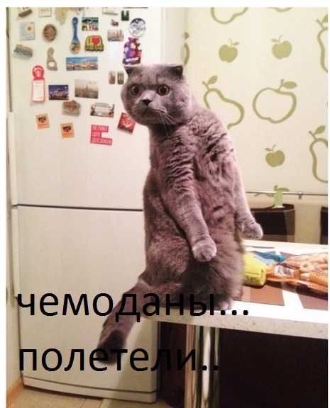 Жена изменила мужу и попросила помочь вынести чемоданы
