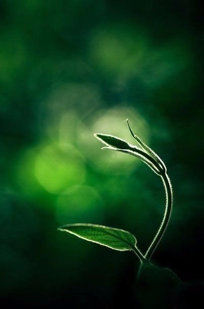 Интересные и веселые картинки