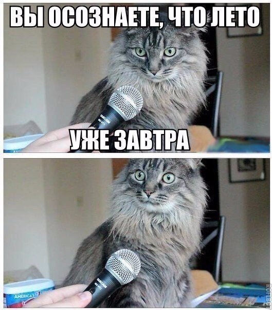 Мохнатые беспредельщики