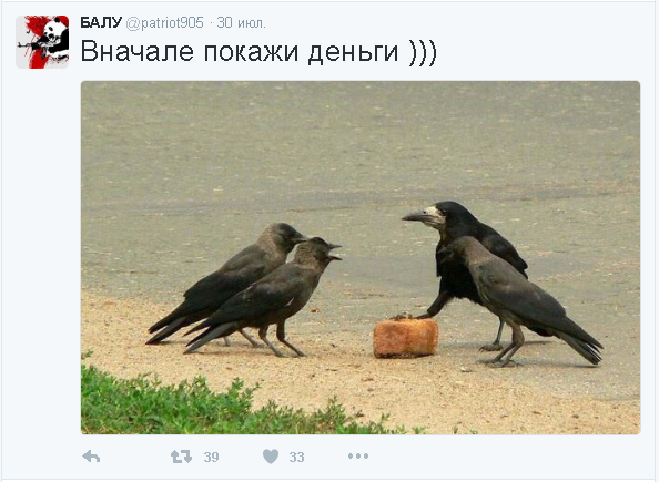 Смешные комментарии из социальных сетей 12.08.2016