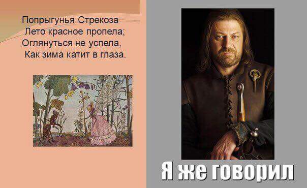 Картинки и приколы из сети, для поднятия настроения=)