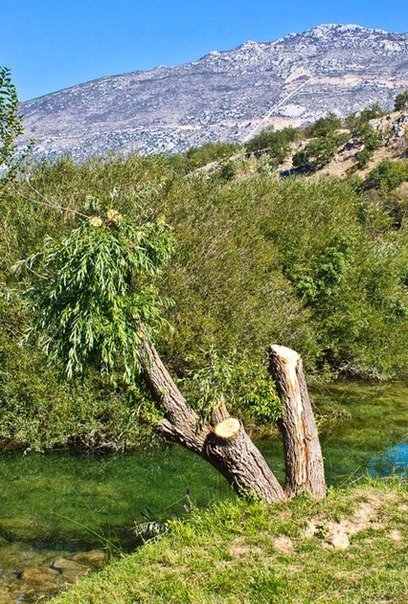 Картинки для отдыха глаз