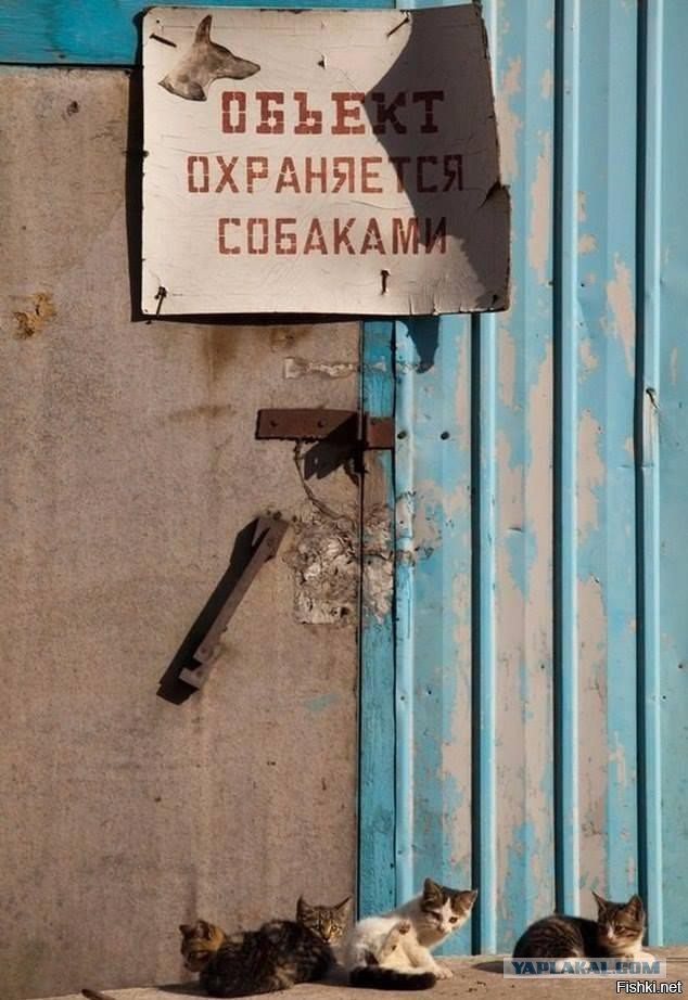 Смешные комментарии из социальных сетей 28.10.2016