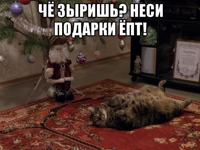 Порция картинок