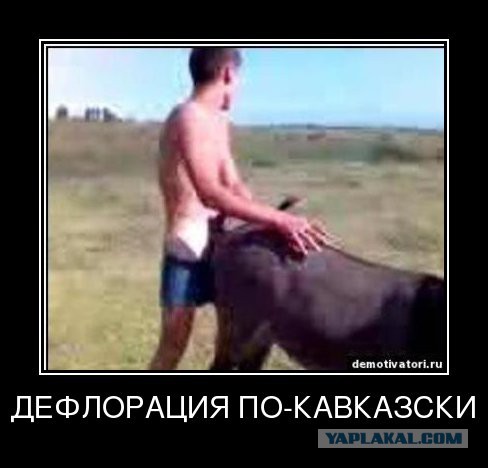 Вот здесь я согласен с этой муклой