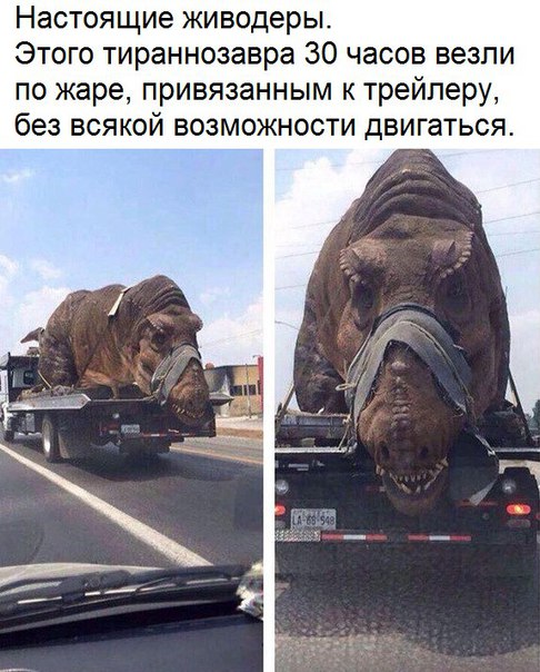 Порция бреда и абсурда к пятнице