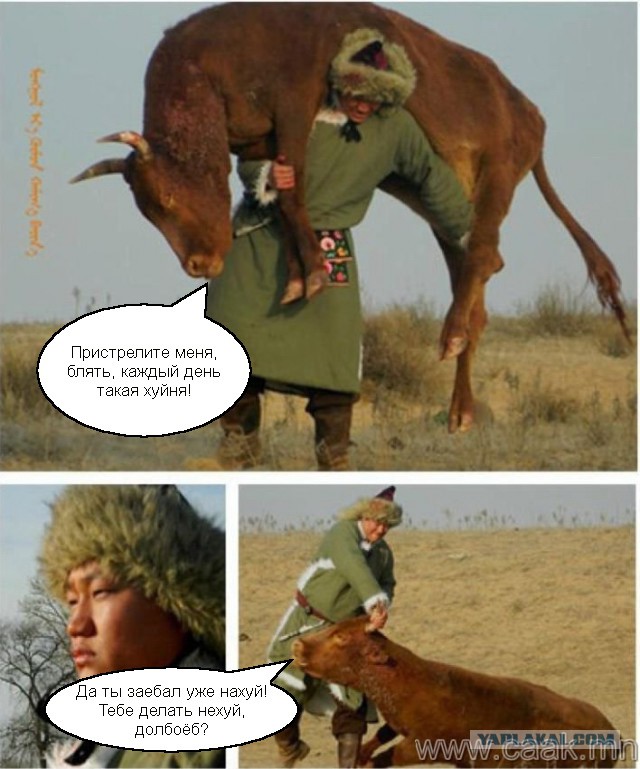 Сколько может поднять человек?