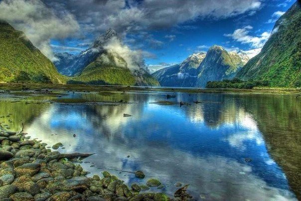 Моменты, запечатлённые на фото и просто позитив 5