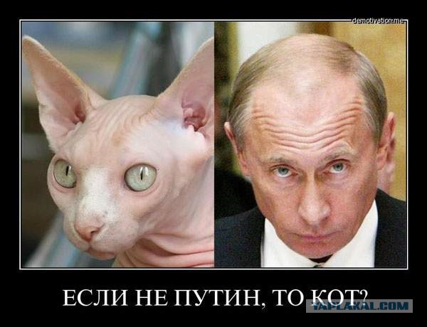 Шестое чувство