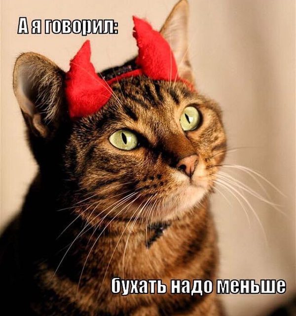 Подборка разного из сети