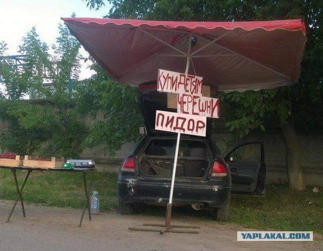 Псковичка вызвала полицию к незаконным торговцам черешней