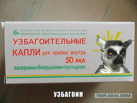 Несколько причин не выходить замуж за алиментщика