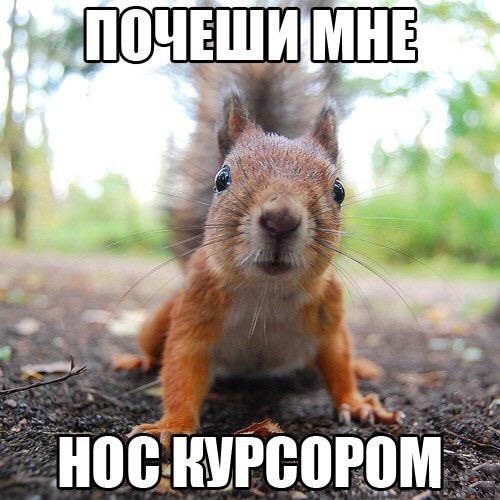 Прикольные картинки 30.06.2017.