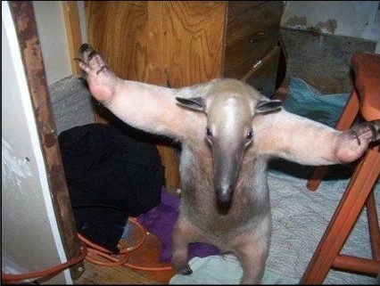 Опять дела семейные