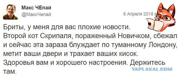 Памяти любимца Сергея и Юлии Скрипаль