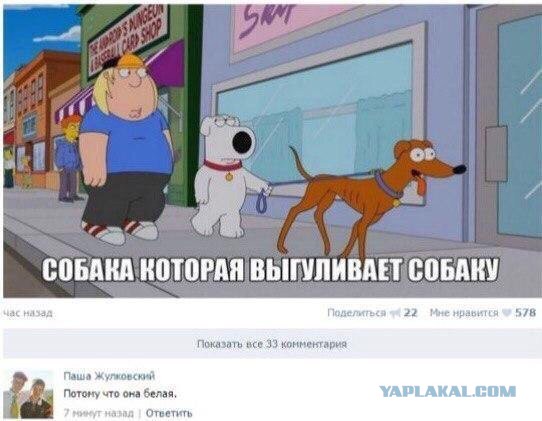 Нестандартный юмор