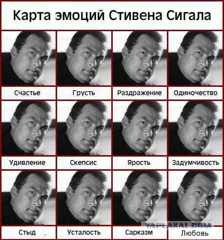 История о том, как мафия разрушила карьеру Стивена Сигала