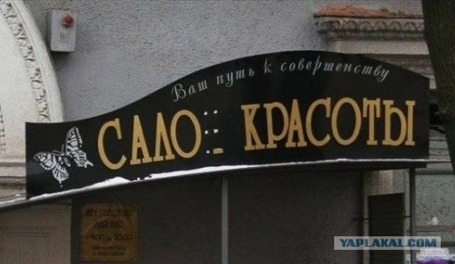 В Киеве состоялся конкурс Miss Ukraine plus size