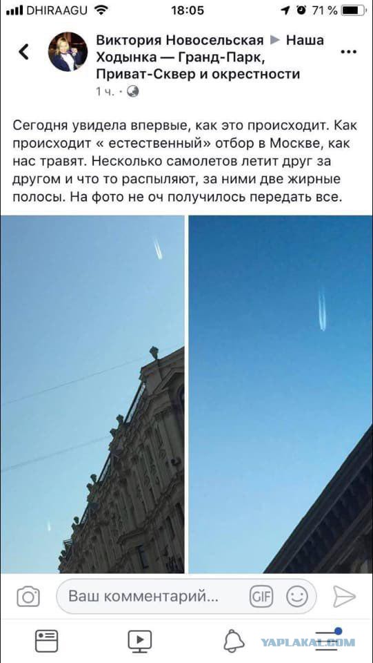 Эра двоечников настала. И они уже не стесняются ничего…