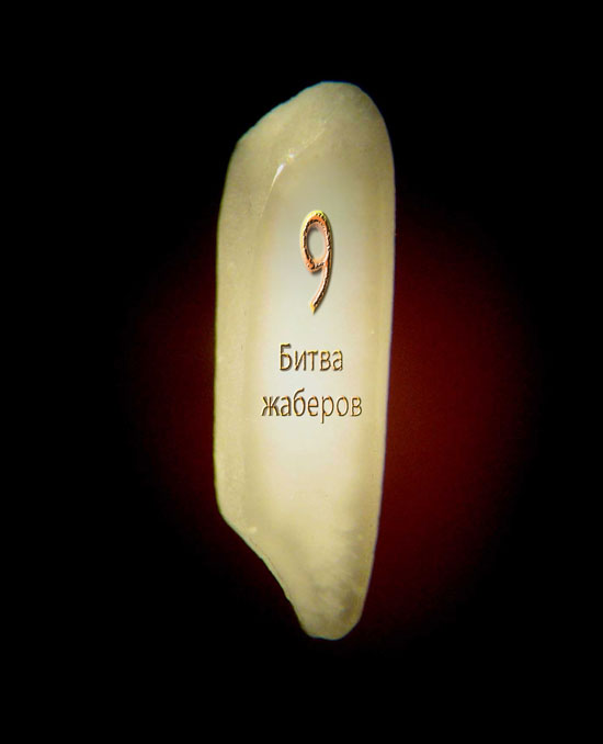 Битва фотожаберов №9. Обсуждение