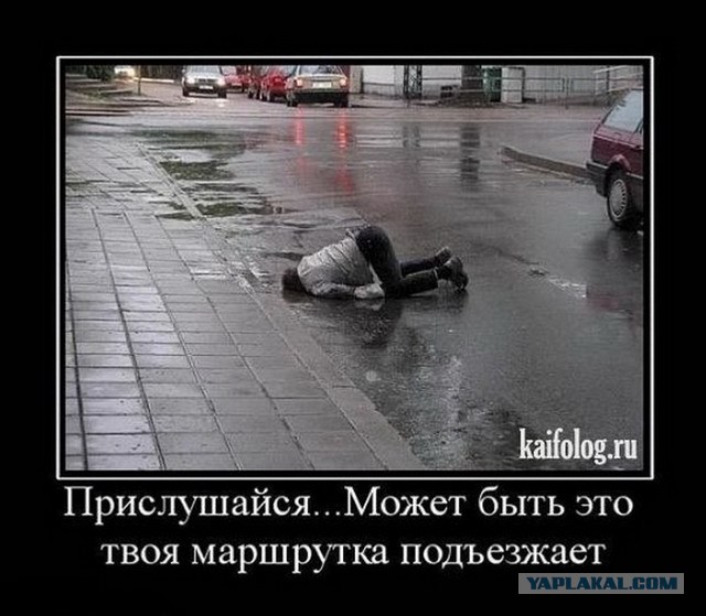 Немного картинок в это воскресенье