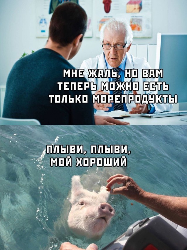 Стейк из хвостика на гриле (Пародия на пародию Пародии Апельсинии)