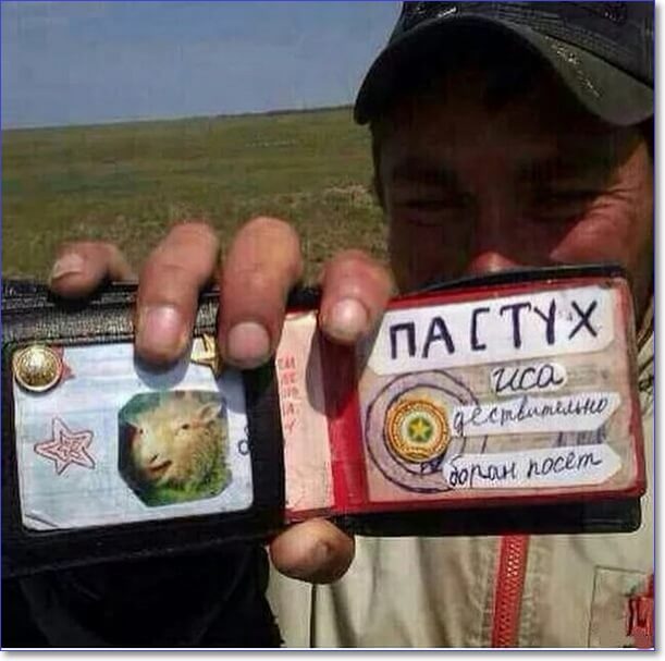 Применим физику в постели или белка и стрелка. Картинки