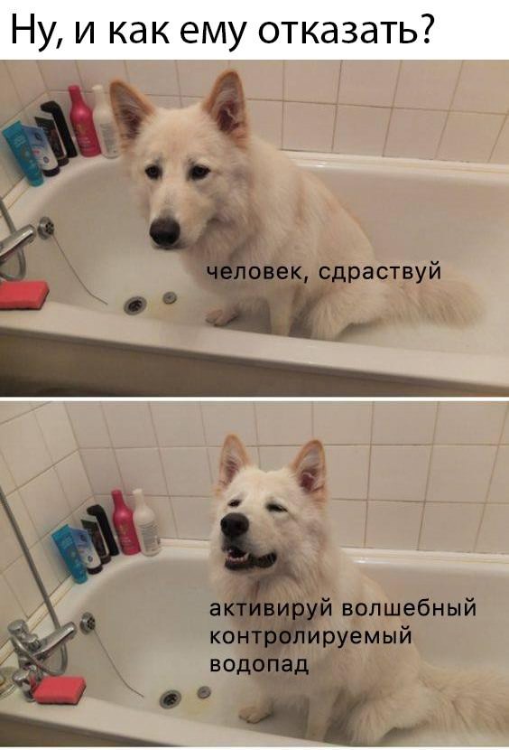Картинки отовсюду. Часть 3 от 22 октября