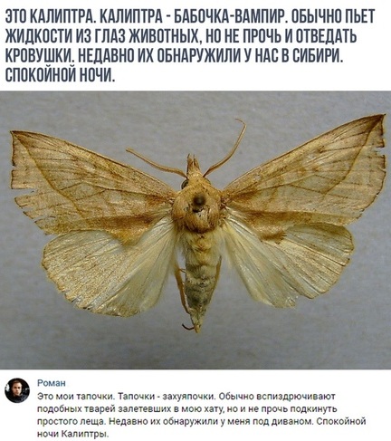 Немного картинок для настроения 16.11.19