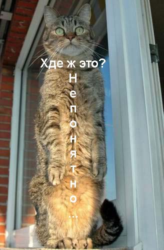 Фотожаба: Где?