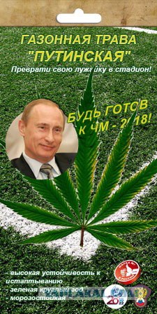 Путинская трава