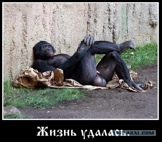 Не вовремя чихнул