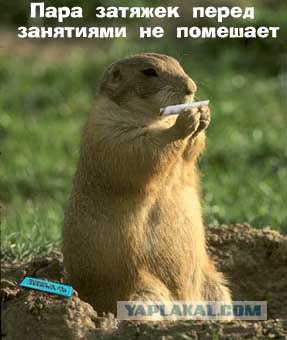 Не детский набор