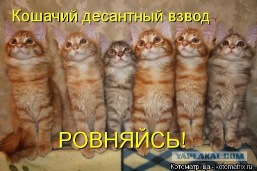 Чтожэто делается, товарищи дорогие! Бабы совсем мужикам жизни не дают!