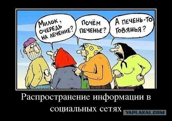 Операция «Блокпост». Петербург не ждет, а готовится ставить КПП на улицах