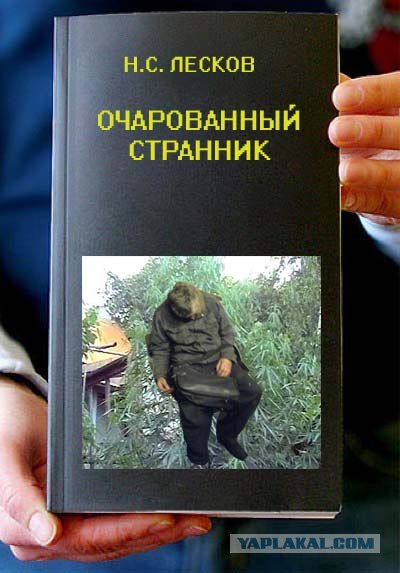 Фотожаба: Книги!
