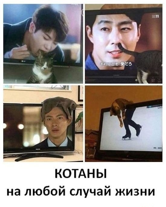 Так себе картинки 09.06.20