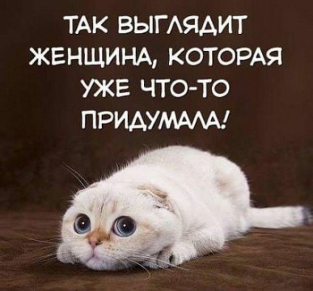 Мужчины сами виноваты в низком качестве современных женщин!