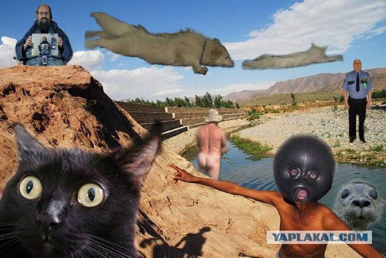 Фотожаба: А ты куда ?
