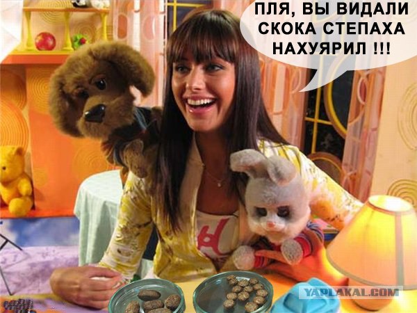 Удивительное рядом