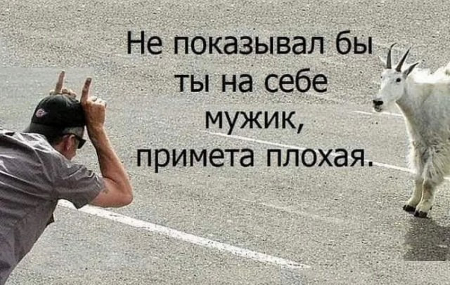 Фотки и картинки: юморные и красивые, забавные и милые 18.09.20